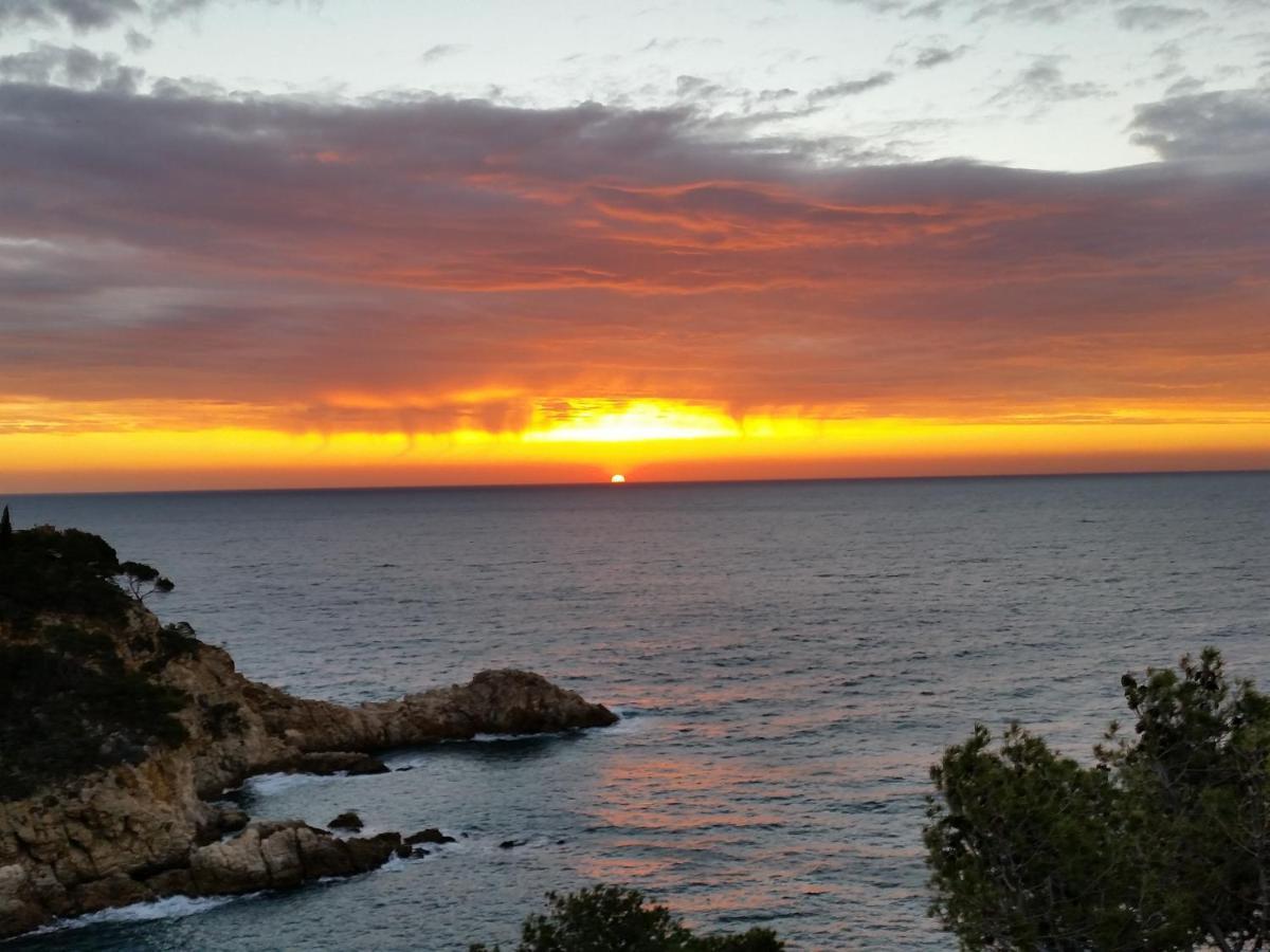 Pola Giverola Camp Tossa de Mar Eksteriør bilde