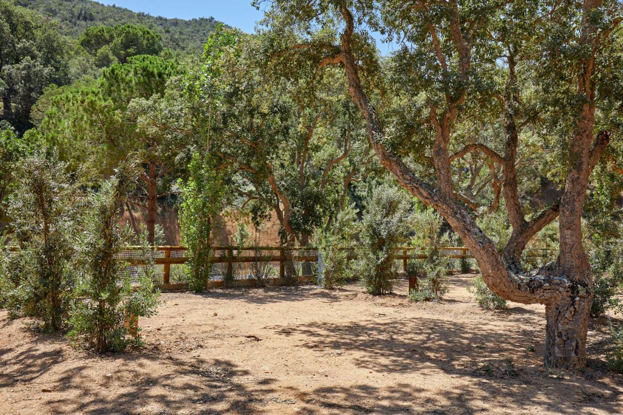 Pola Giverola Camp Tossa de Mar Eksteriør bilde
