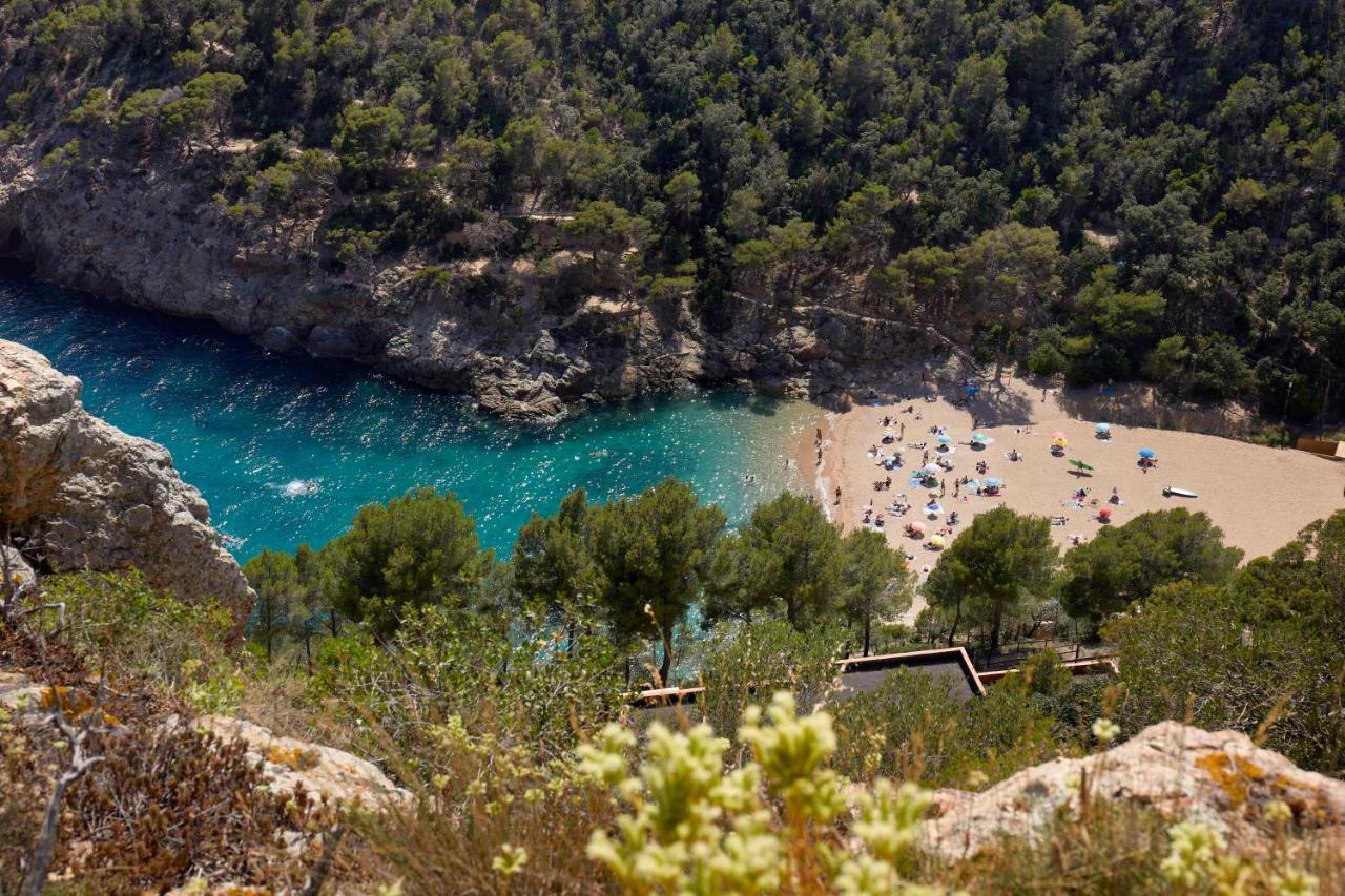 Pola Giverola Camp Tossa de Mar Eksteriør bilde