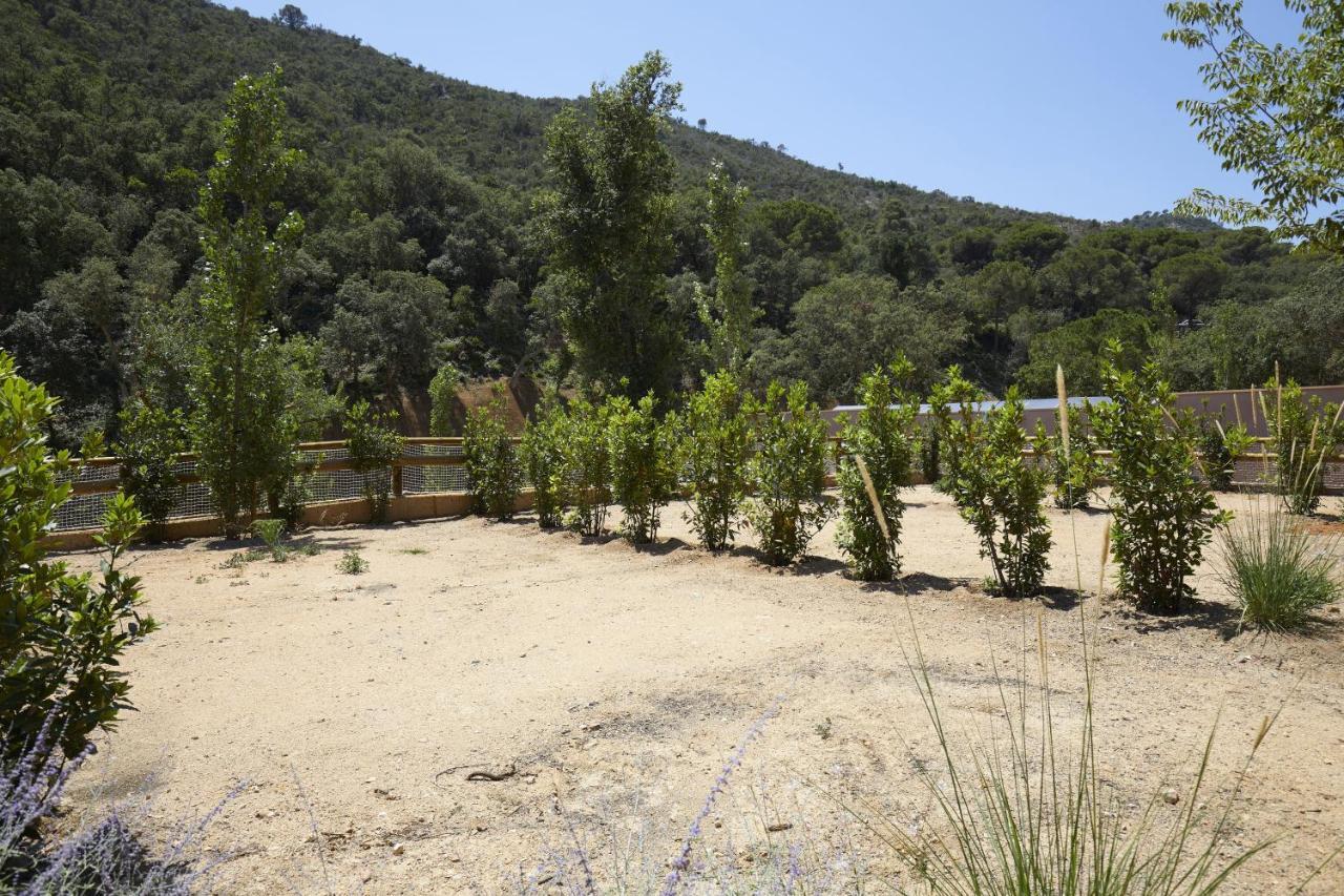 Pola Giverola Camp Tossa de Mar Eksteriør bilde